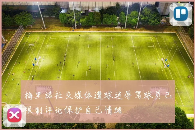 梅里诺社交媒体遭球迷辱骂球员已限制评论保护自己情绪