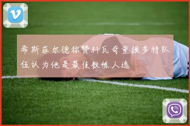 希斯菲尔德称赞科瓦奇重振多特队伍认为他是最佳教练人选