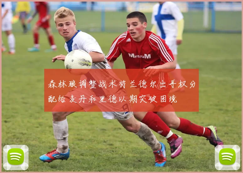 森林狼调整战术将兰德尔出手权分配给麦丹和里德以期突破困境